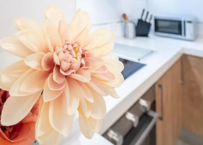 Colon En Appartement *