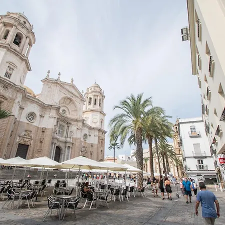 Colon En Cádiz